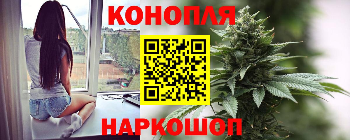 Конопля SATIVA & INDICA Клин